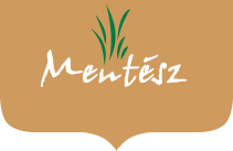 Partner 7